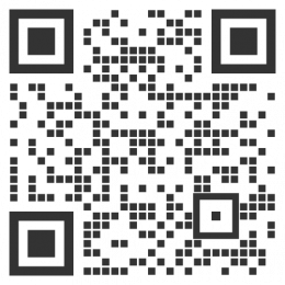 Immagine QR
